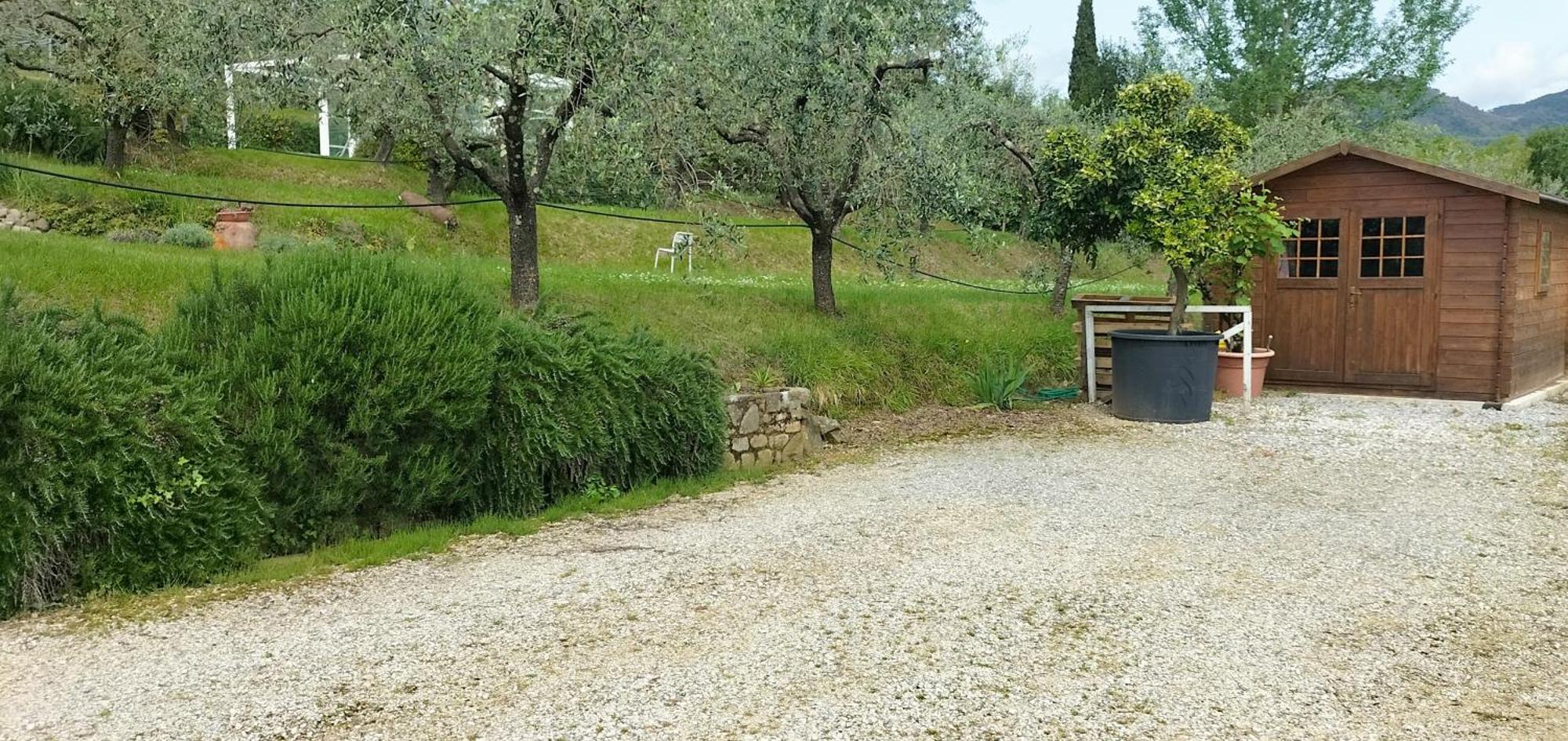 Apartament Il Campano Collodi Zewnętrze zdjęcie