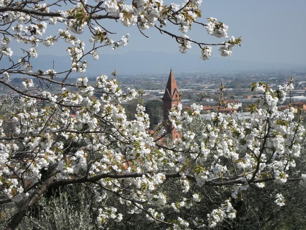 Apartament Il Campano Collodi Pokój zdjęcie