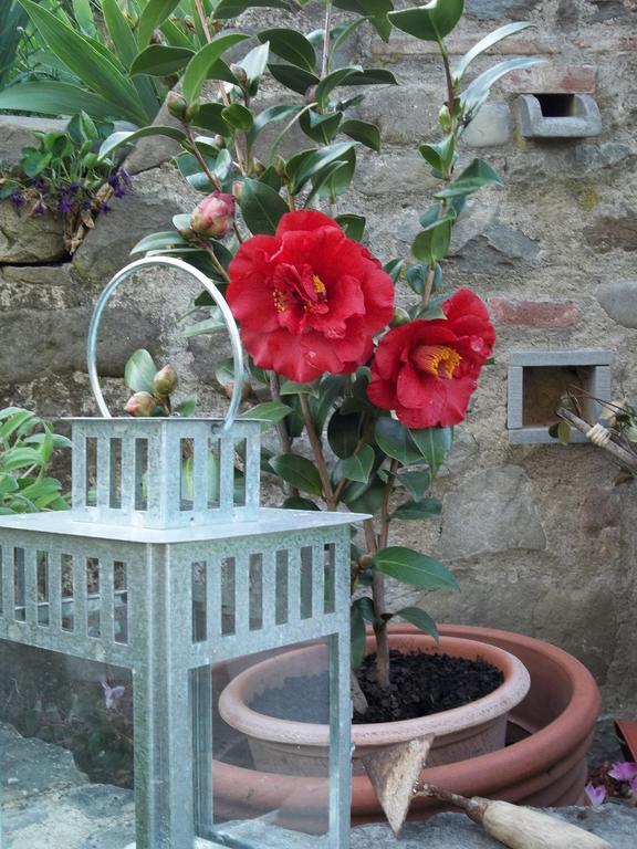 Apartament Il Campano Collodi Zewnętrze zdjęcie