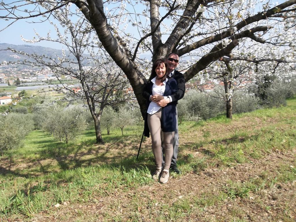 Apartament Il Campano Collodi Zewnętrze zdjęcie