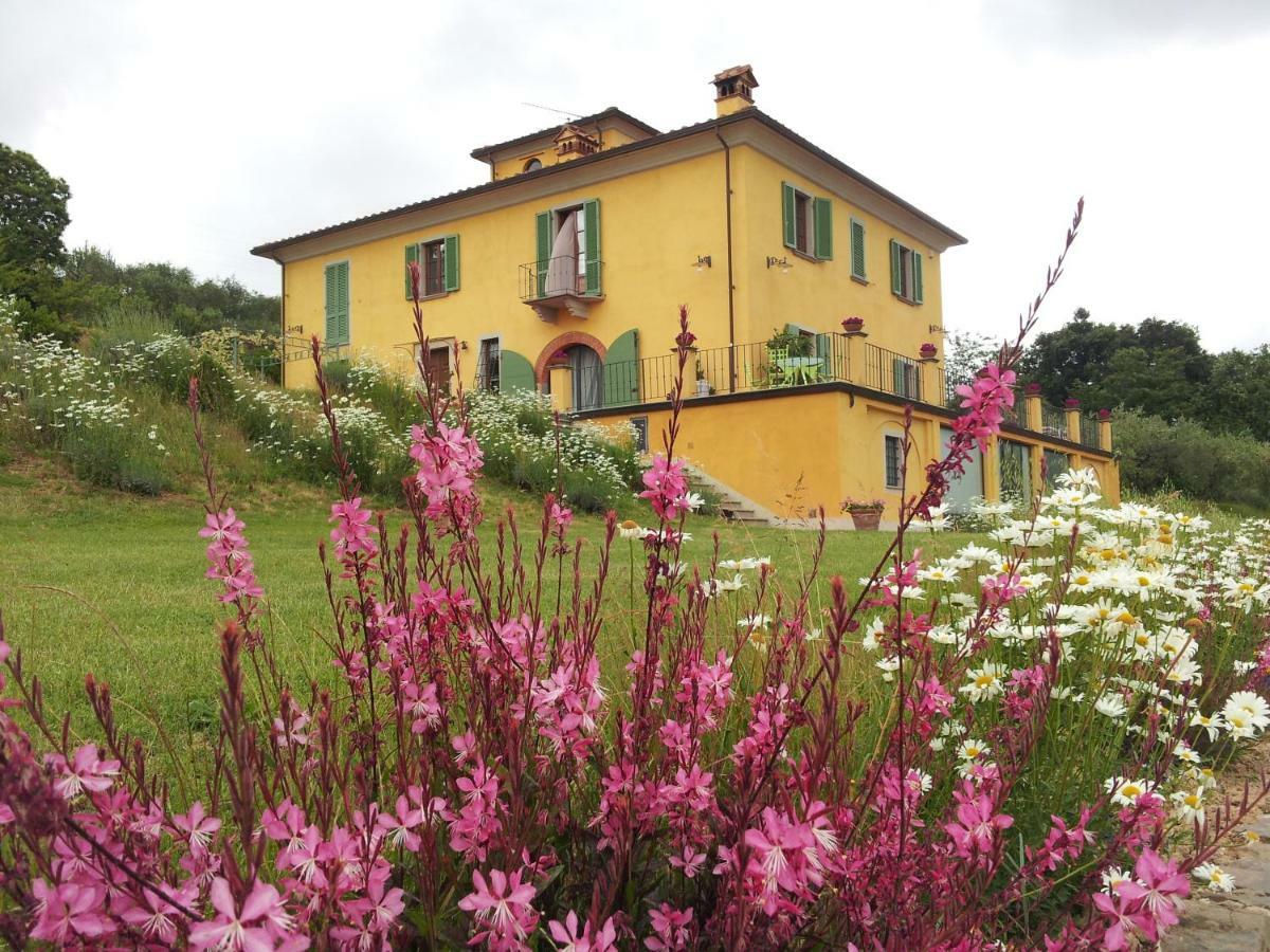 Apartament Il Campano Collodi Zewnętrze zdjęcie